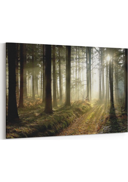 Issız Orman Tablosu