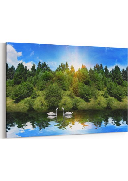 Gölde Kuğular Tablosu