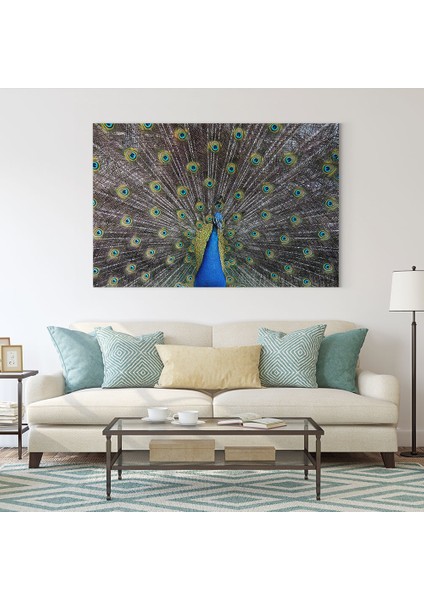 Tavus Kuşu Tablosu fiyatları