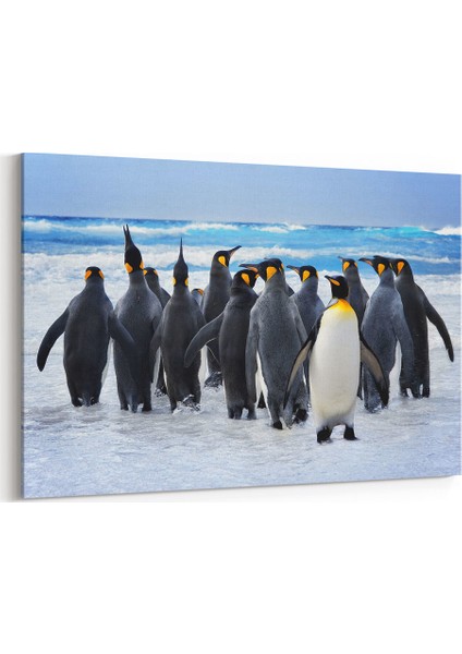 İmparator Penguen Tablosu