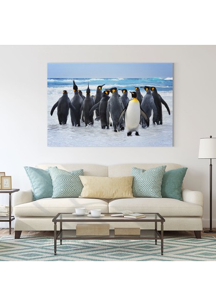 İmparator Penguen Tablosu