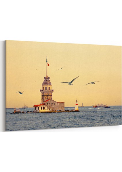 Martılar ve Kız Kulesi, Tablosu