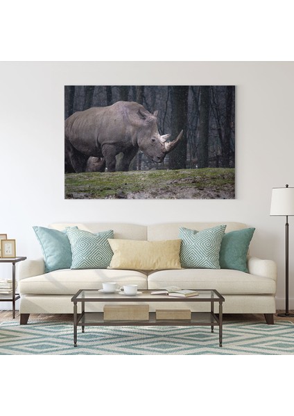 Gergedan Tablosu fiyatları