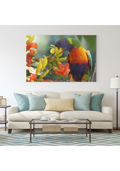 Renkli Papağan Tablosu fiyatları