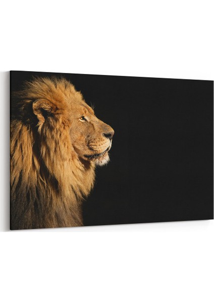 Profil Çekim Aslan Tablosu