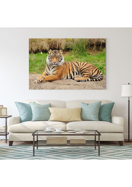 Kaplan Tablosu fiyatları