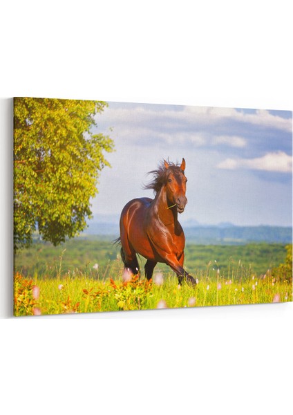 Çimler ve At Tablosu