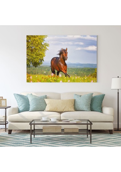 Çimler ve At Tablosu fiyatları