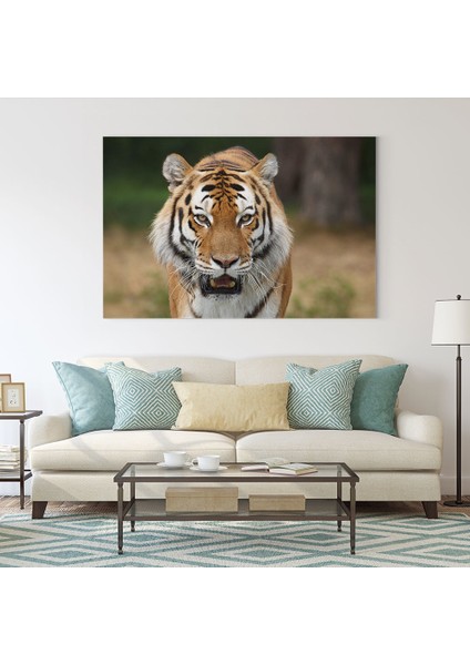 Kaplan Tablosu fiyatları