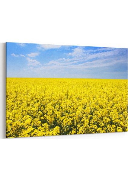 Sarı Çiçekler Tablosu