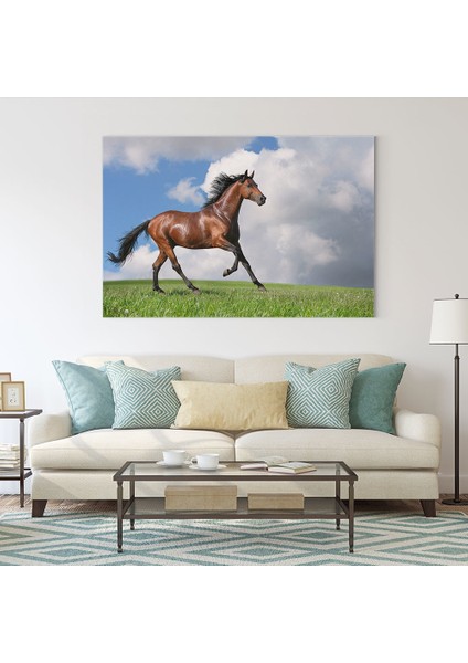 Çimlerde Koşan At Tablosu fiyatları