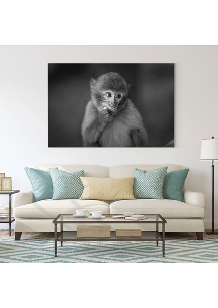 Şempanze Tablosu fiyatları