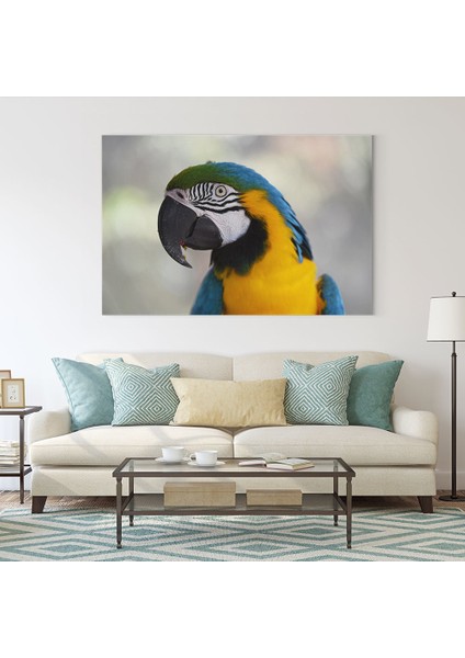 Papağan Kuşu Tablosu fiyatları