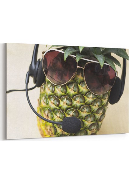 Kulaklıklı Gözlüklü Ananas Tablosu