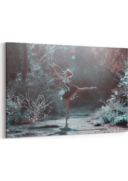 Balerin ve Doğa Tablosu