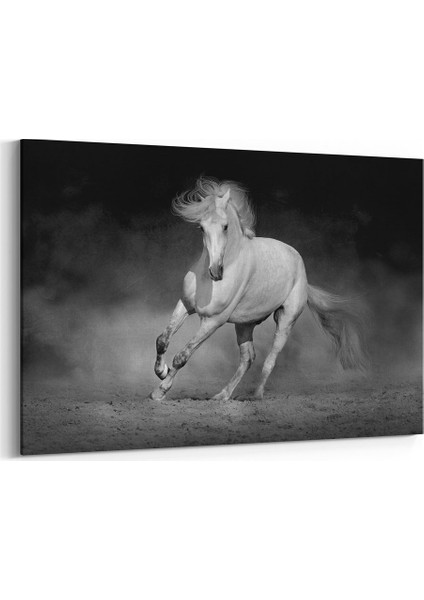 Siyah Beyaz Koşan At Tablosu