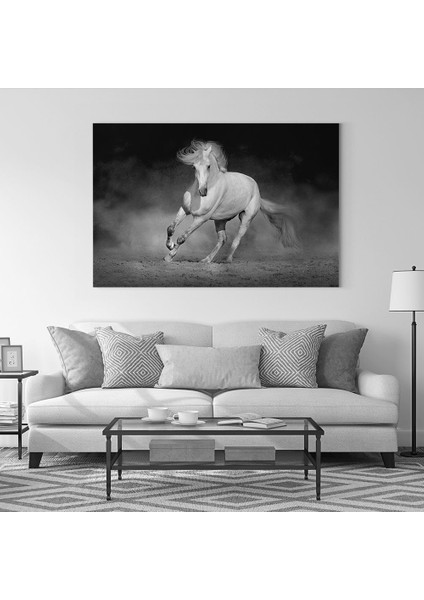 Siyah Beyaz Koşan At Tablosu fiyatları