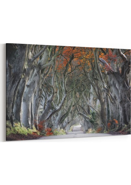 Ağaçlı Yol Tablosu