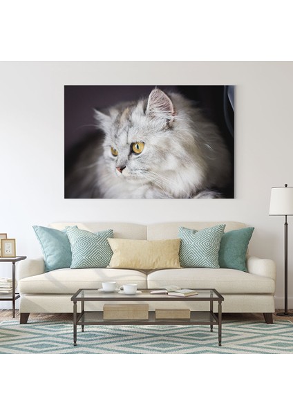 Pofuduk Kedi Tablosu