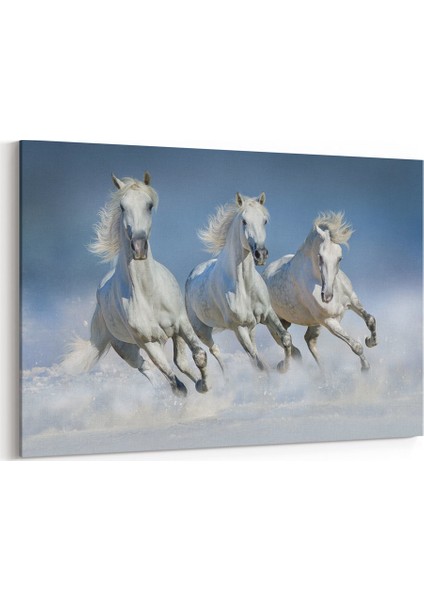 Karda Koşan Atlar Tablosu