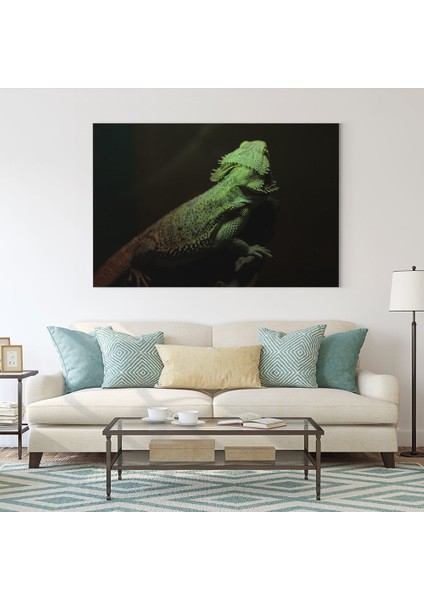 İguana Tablosu fiyatları