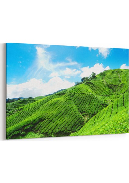 Mavi Gökyüzü Tablosu