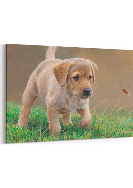 Yavru Labrador Tablosu