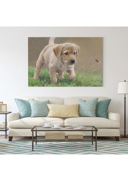 Yavru Labrador Tablosu