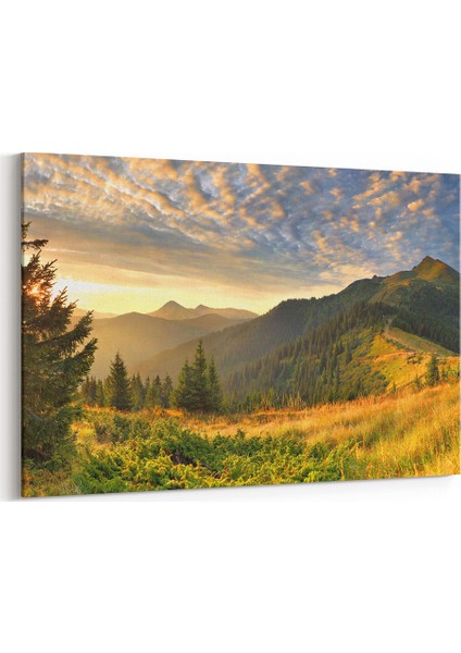 Bulutlar ve Ağaçlar Tablosu