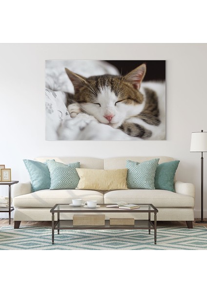 Uyuyan Kedi Tablosu fiyatları