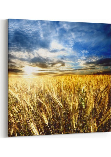 Başak Tarlası Tablosu