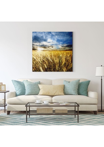 Başak Tarlası Tablosu fiyatları