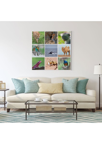 Hayvanlar Kolaj Tablosu fiyatları