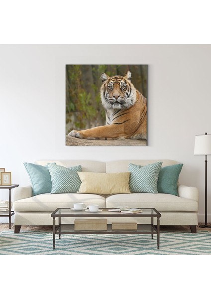 Kaplan Tablosu fiyatları