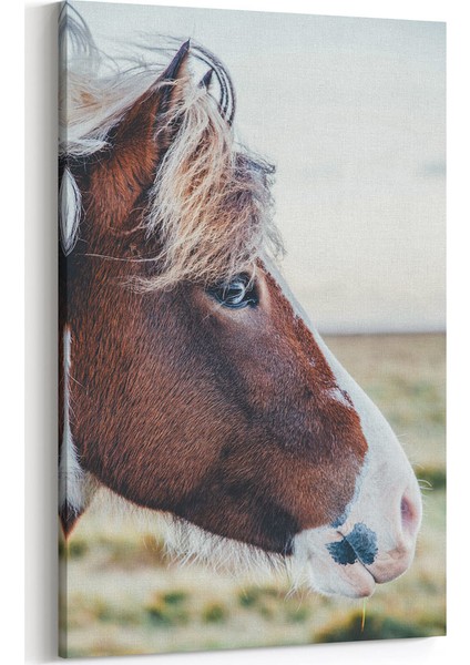 Profil Çekim At Tablosu