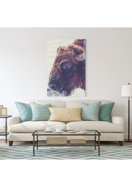 Bizon Tablosu fiyatları