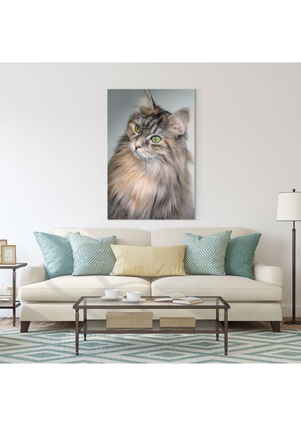 Kedi Tablosu fiyatları