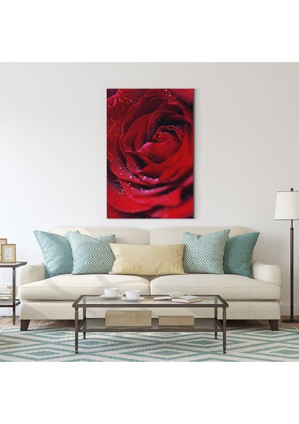 Gül Tablosu fiyatları