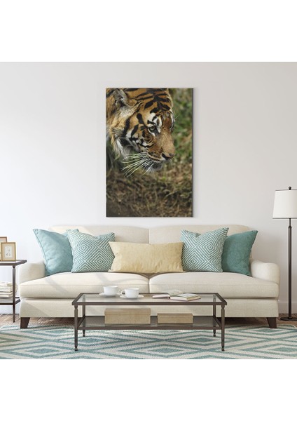 Kaplan Tablosu fiyatları