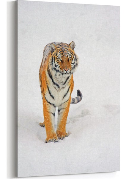 Karlar ve Kaplan Tablosu