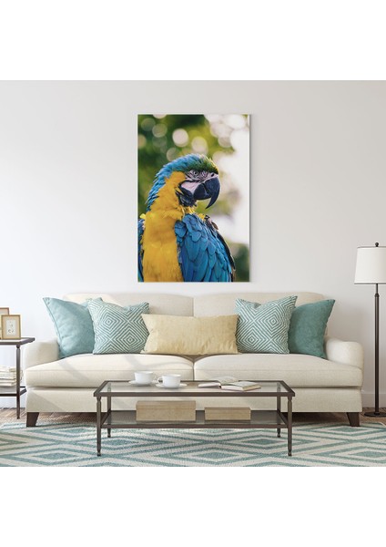 Papağan Tablosu fiyatları