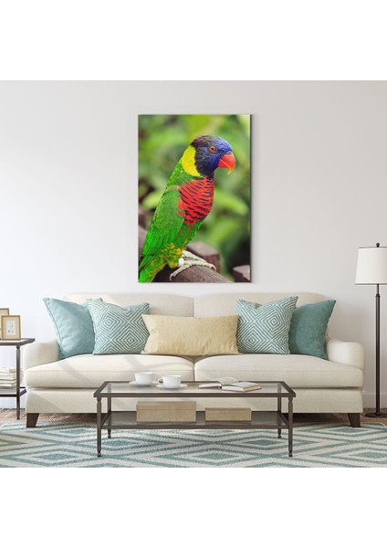 Renkli Papağan Tablosu fiyatları