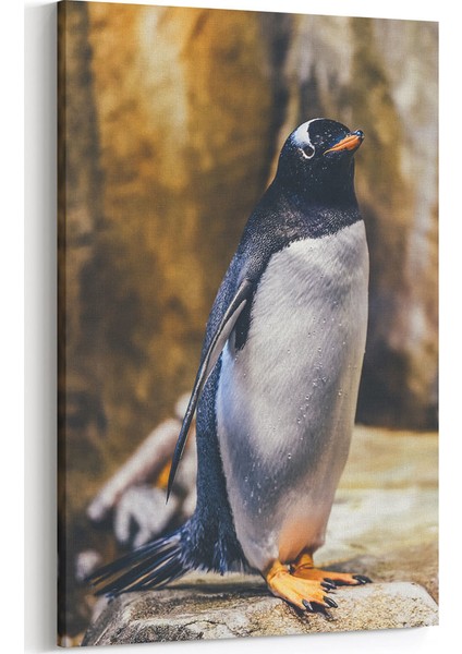 Penguen Tablosu