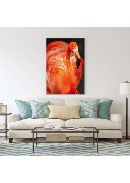 Flamingo Tablosu fiyatları