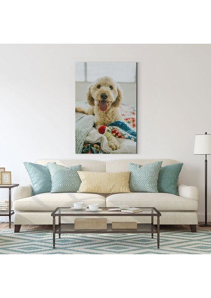 Şirin Köpek Tablosu fiyatları