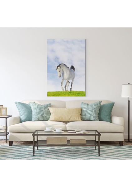 Beyaz At Tablosu fiyatları