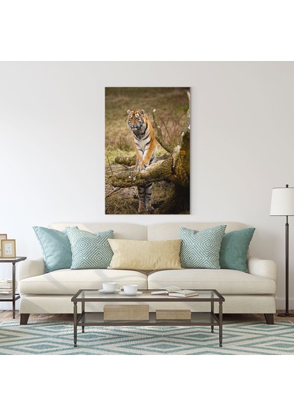 Kaplan Tablosu fiyatları