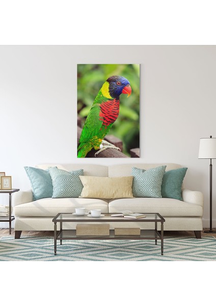 Papağan Tablosu fiyatları