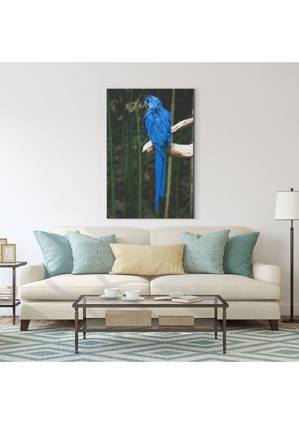 Mavi Papağan Tablosu fiyatları