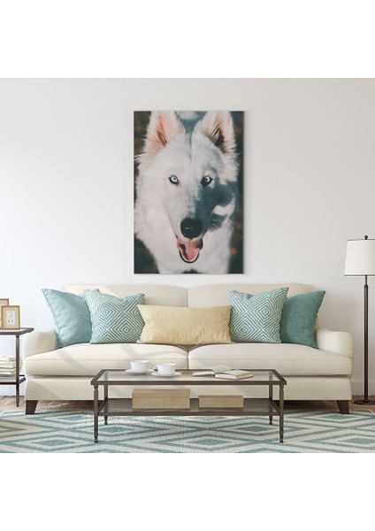 Beyaz Köpek Tablosu fiyatları